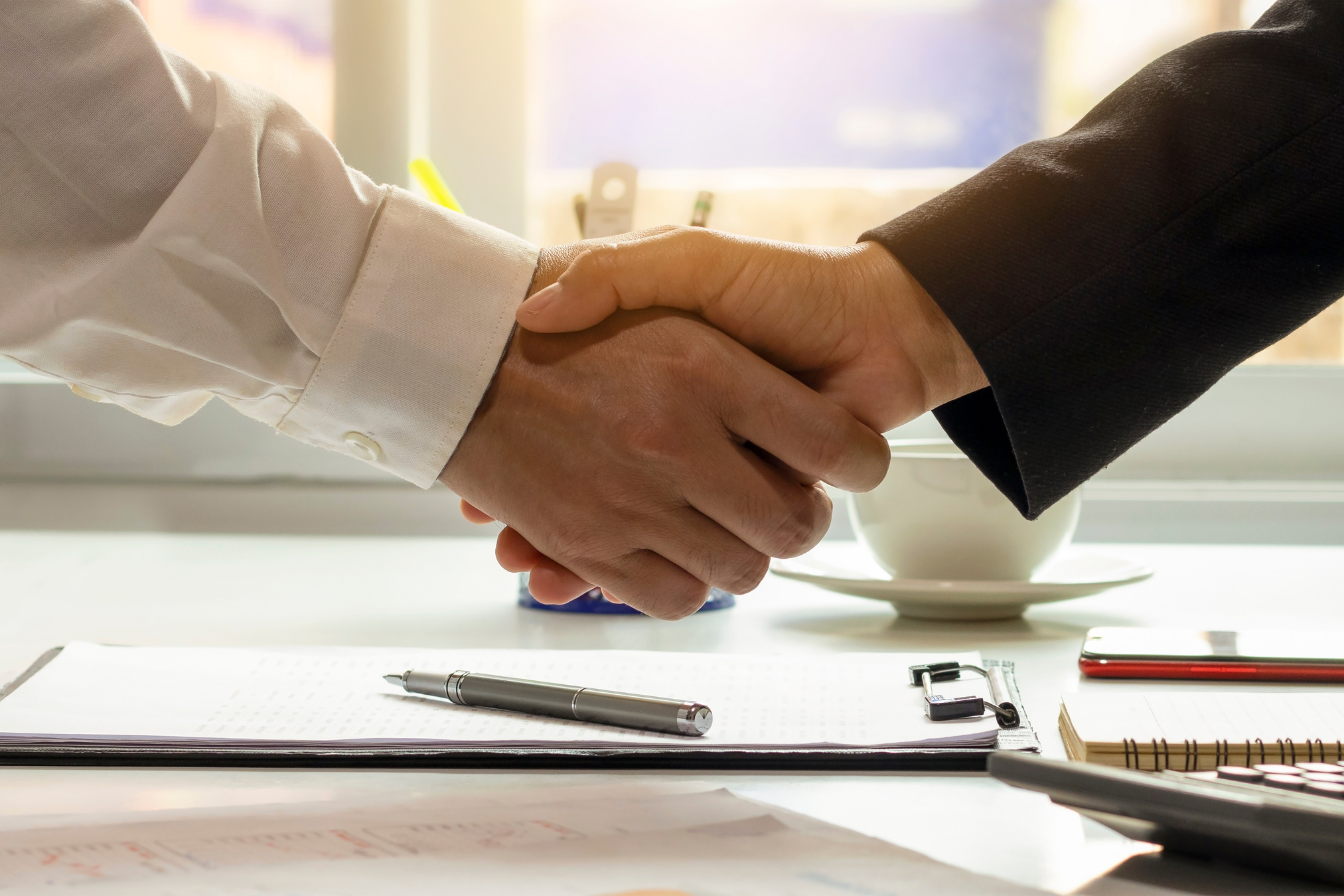 Professional Colleagues Shaking Hands